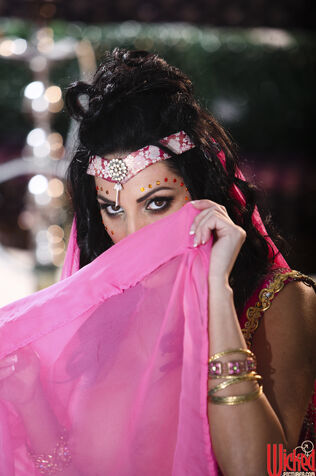 Wonderful Middle Eastern princess